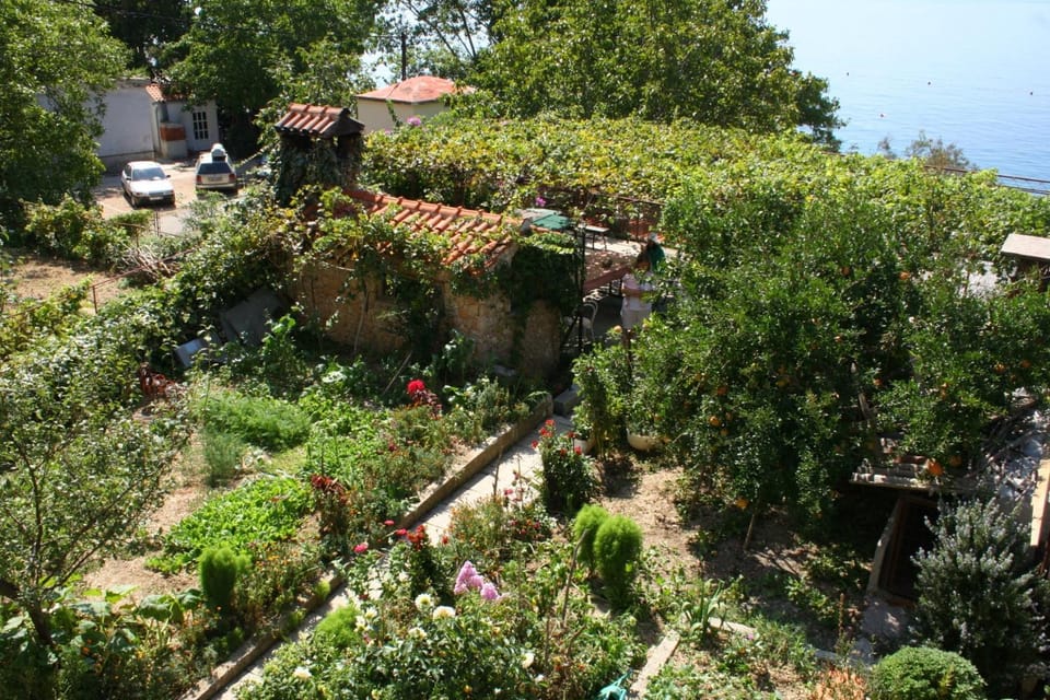 Location, children, Family