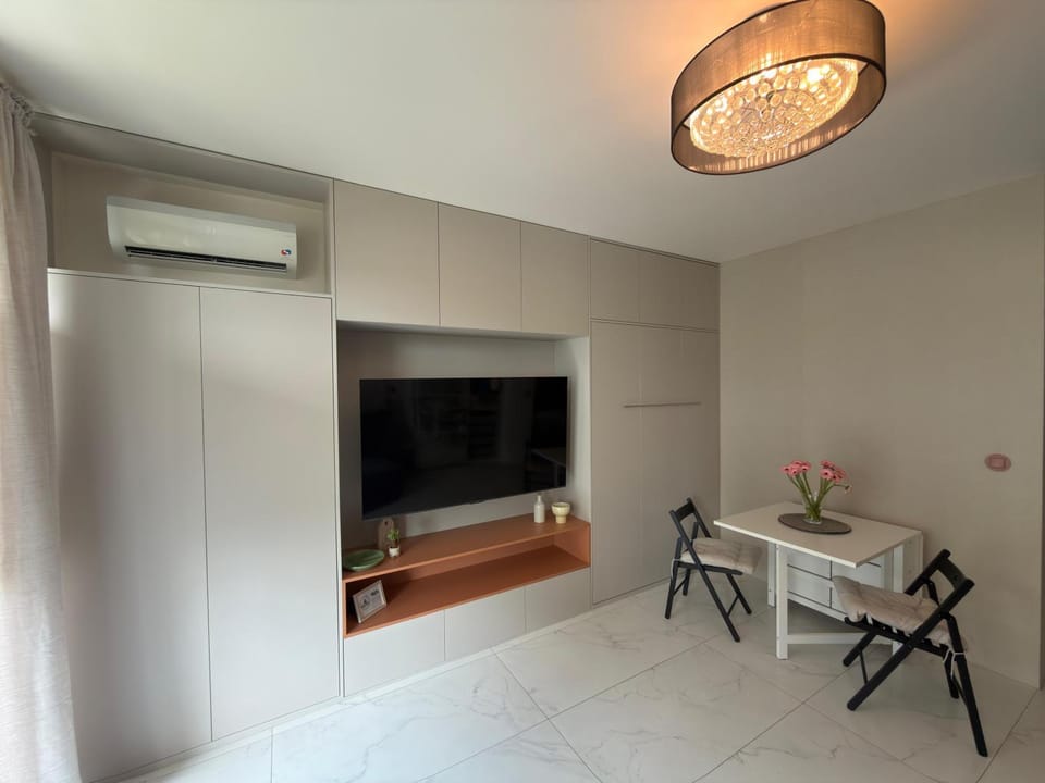 TV and multimedia, air conditioner