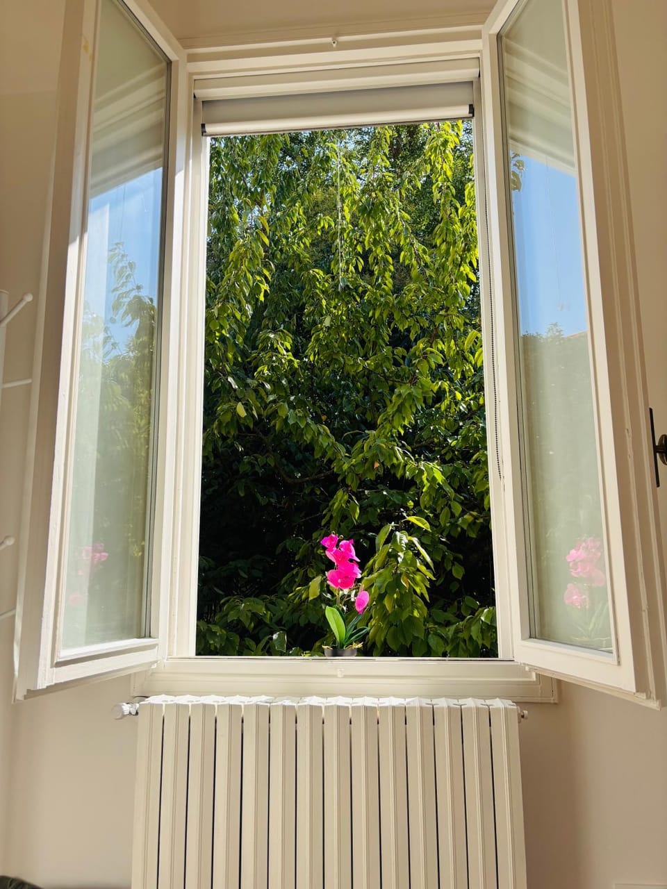 Garden view, Inner courtyard view