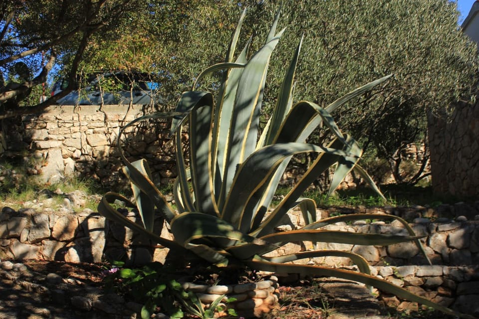 Location, children, Family