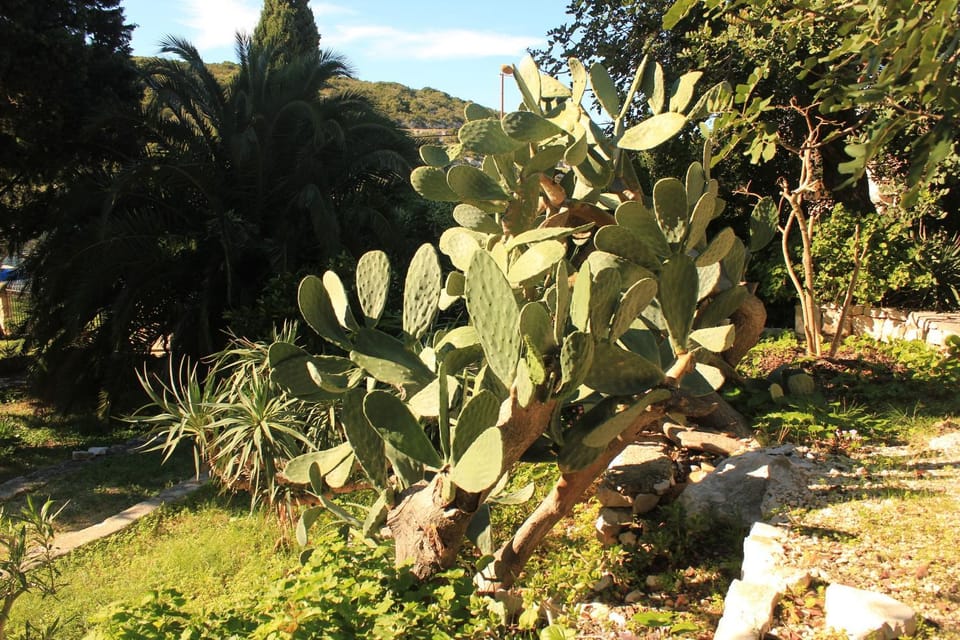 Location, children, Family