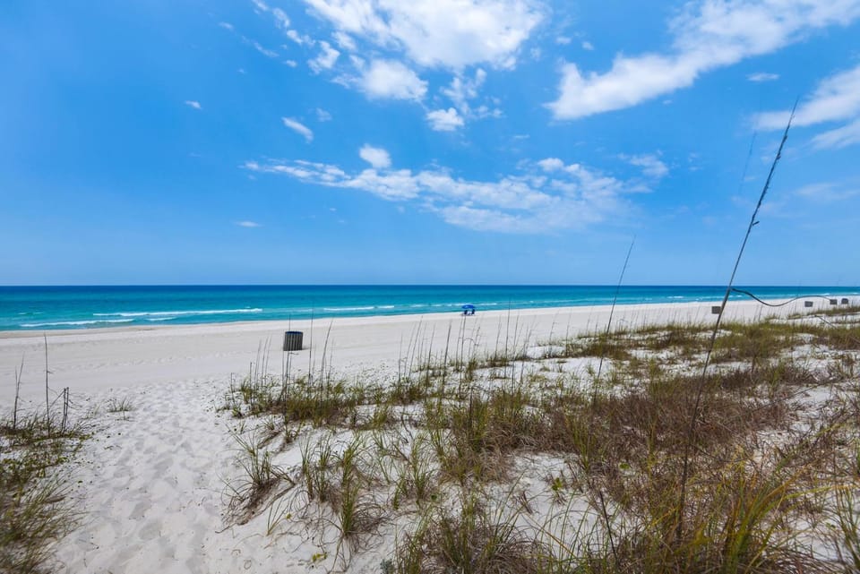 Large snowbird friendly beachfront home with fast WiFi - steps to sand House in Panama City Beach