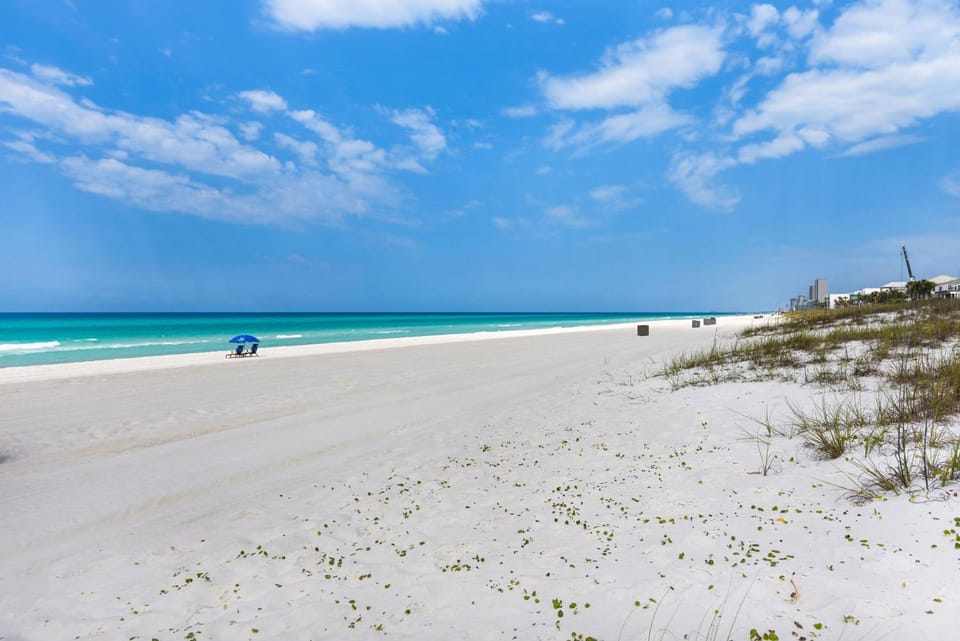 Large snowbird & dog-friendly beachfront home with WiFi & patio - steps to sand House in Panama City Beach
