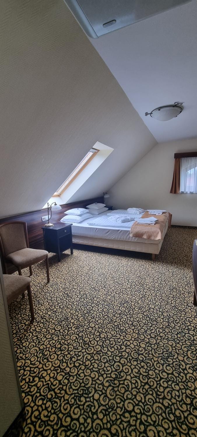 Park Hotel Hotel in Hévíz