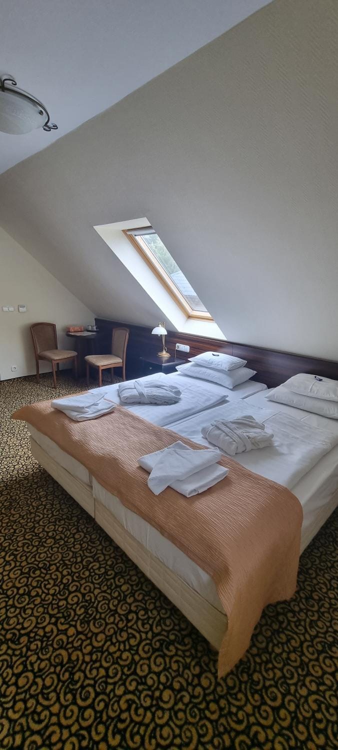 Park Hotel Hotel in Hévíz