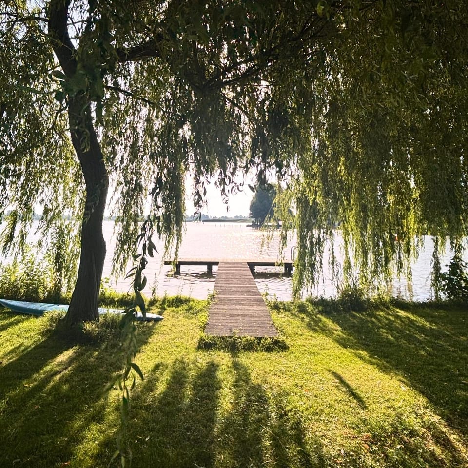 Lake view