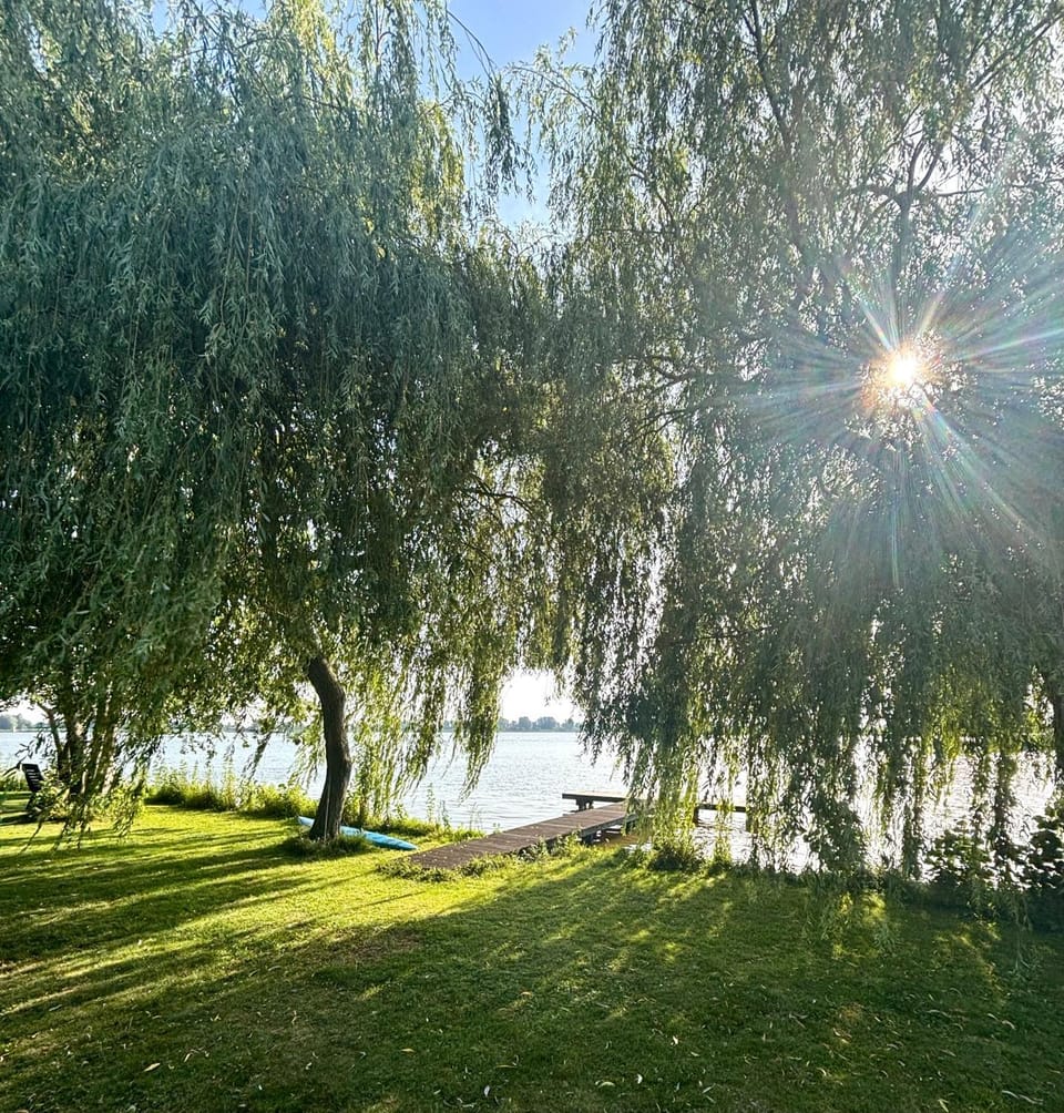 Lake view