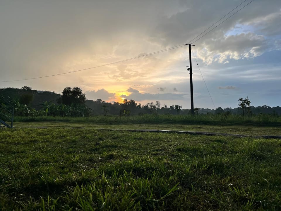 Misty field view Homestay Vacation rental in Karnataka