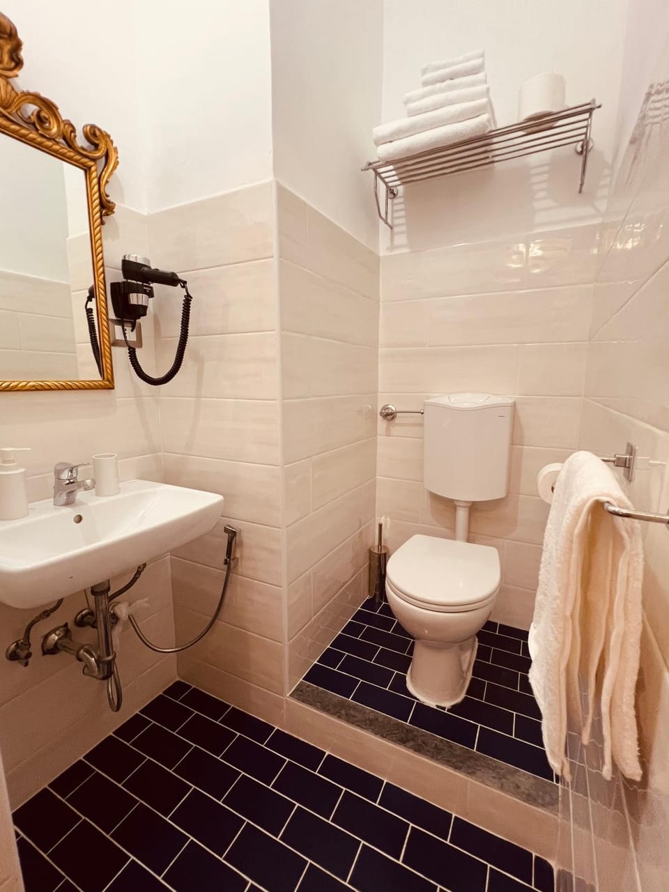 Shower, Toilet, Bathroom, towels