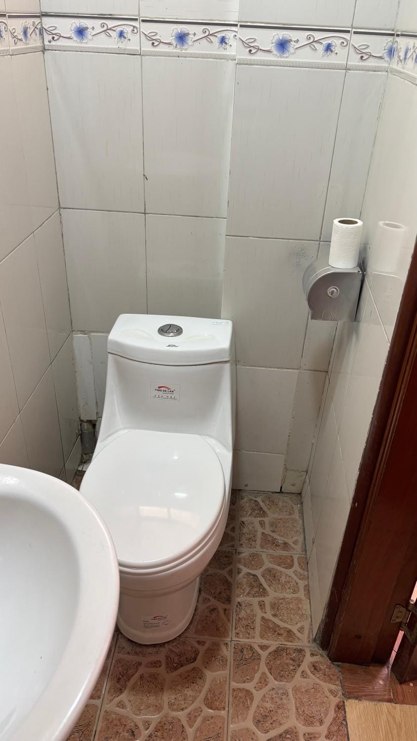 Toilet