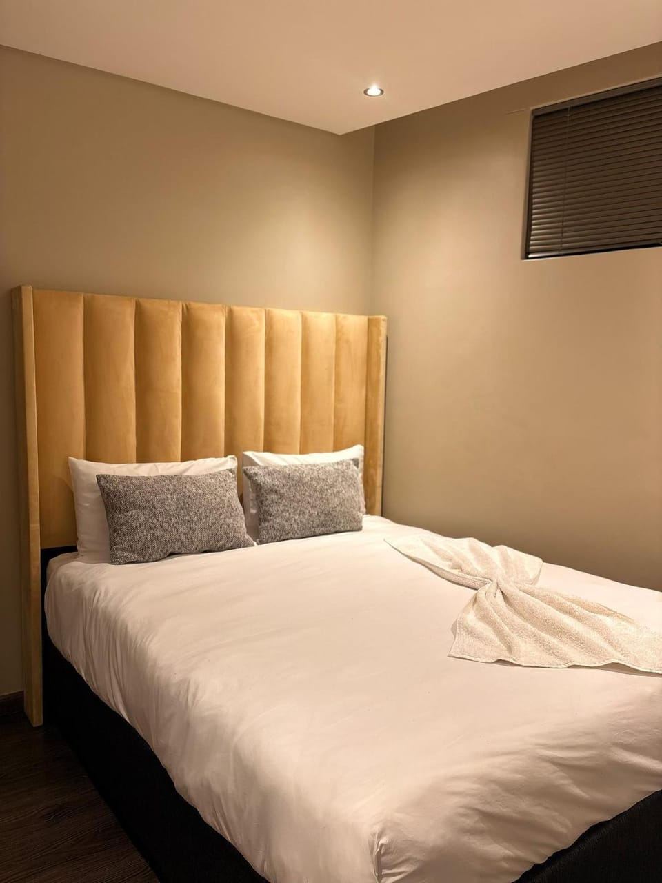 Wild Olive - Urban Oasis Self Catering Apartment in Windhoek