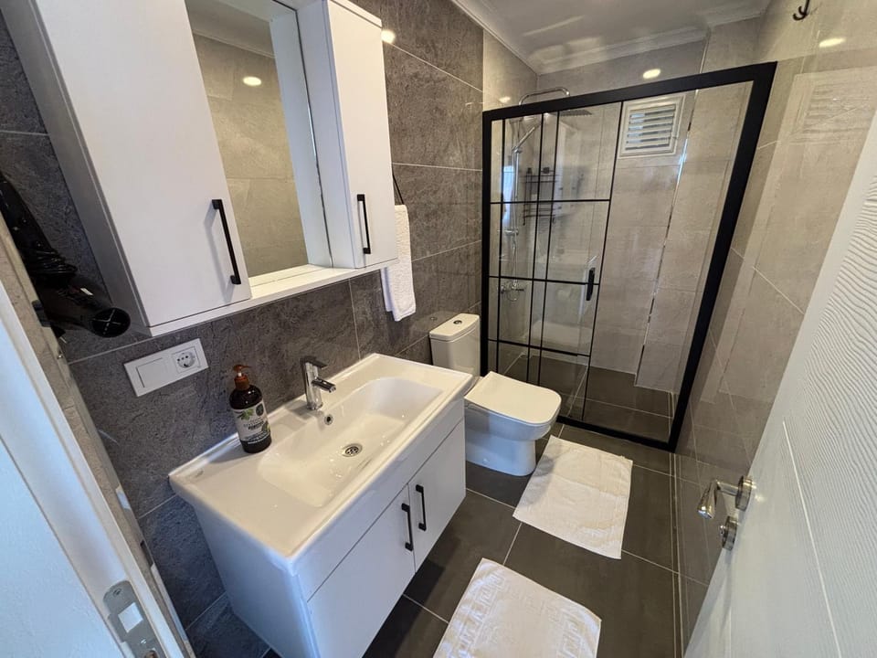 Shower, Toilet, Bathroom, towels