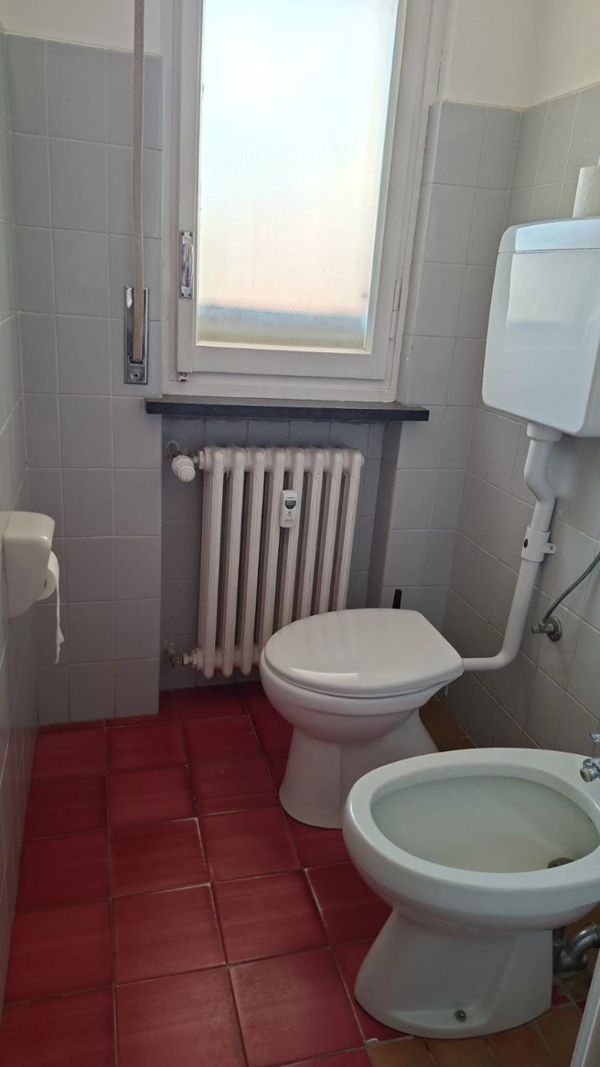 Toilet, Bathroom, bidet