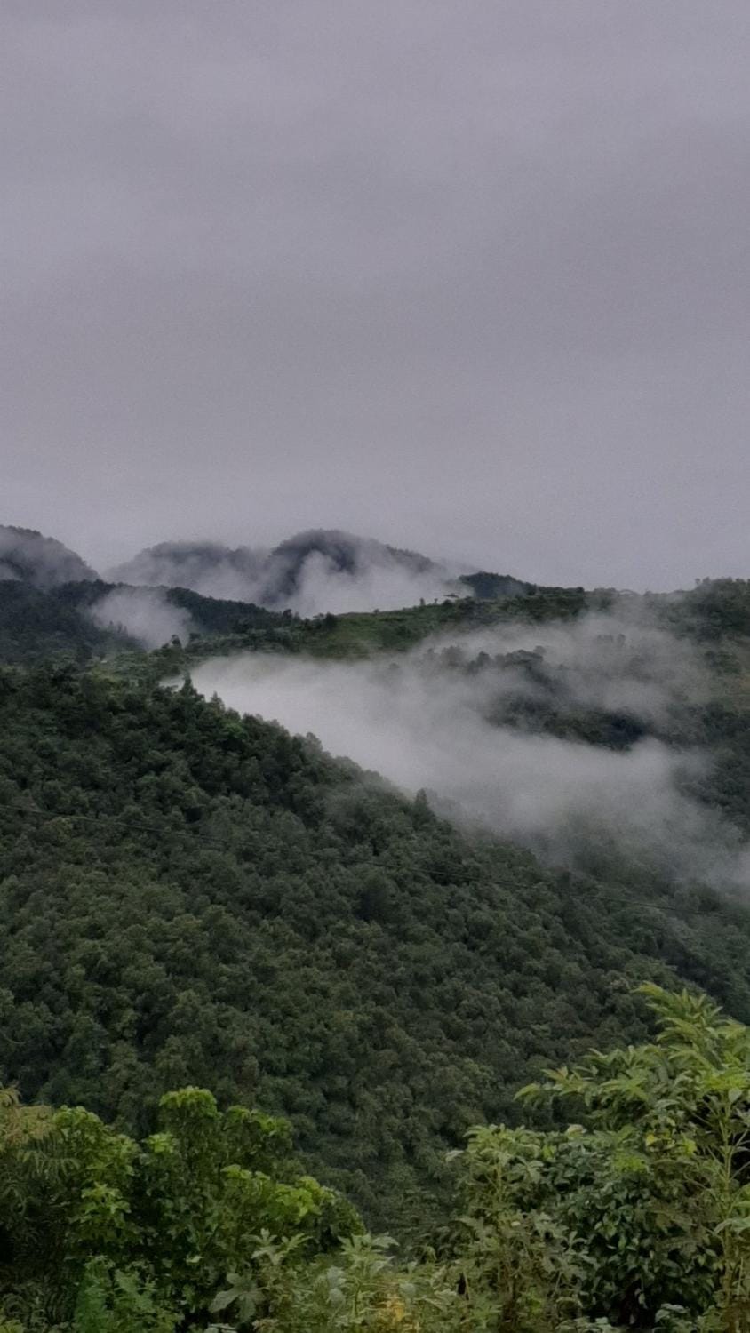 Mountain view