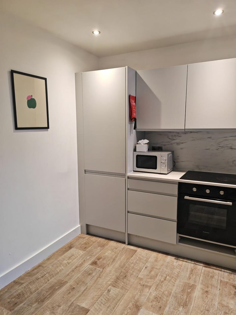 Kitchen or kitchenette, oven