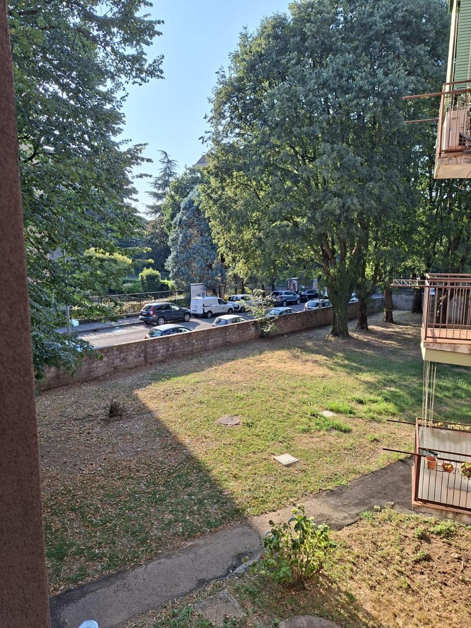 Garden view