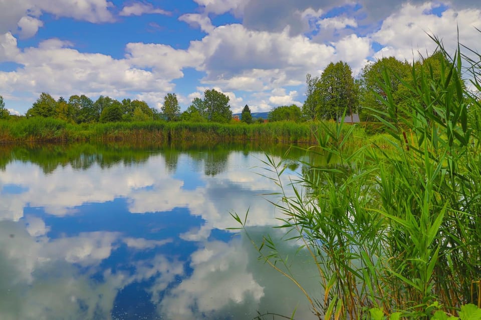 Garden, Lake view