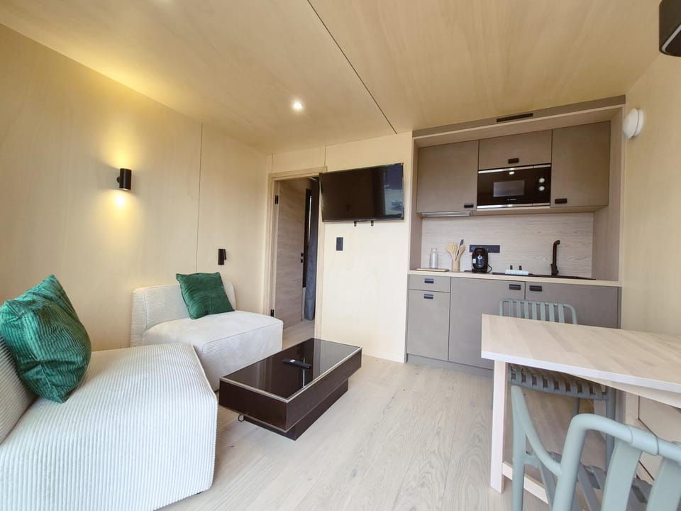 Living room, kitchen