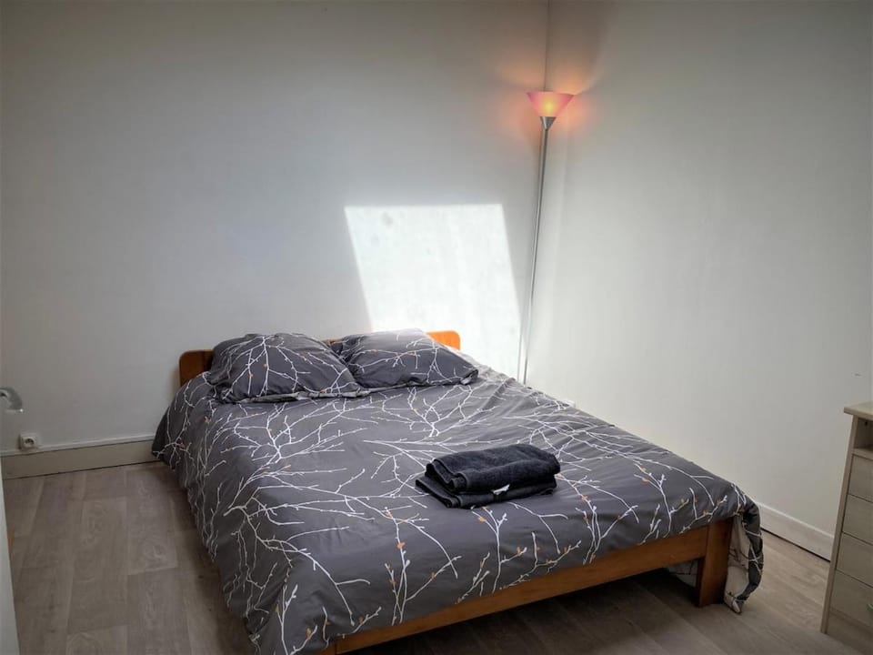 Duplex dans l'hypercentre de Limoges Apartment in Limoges