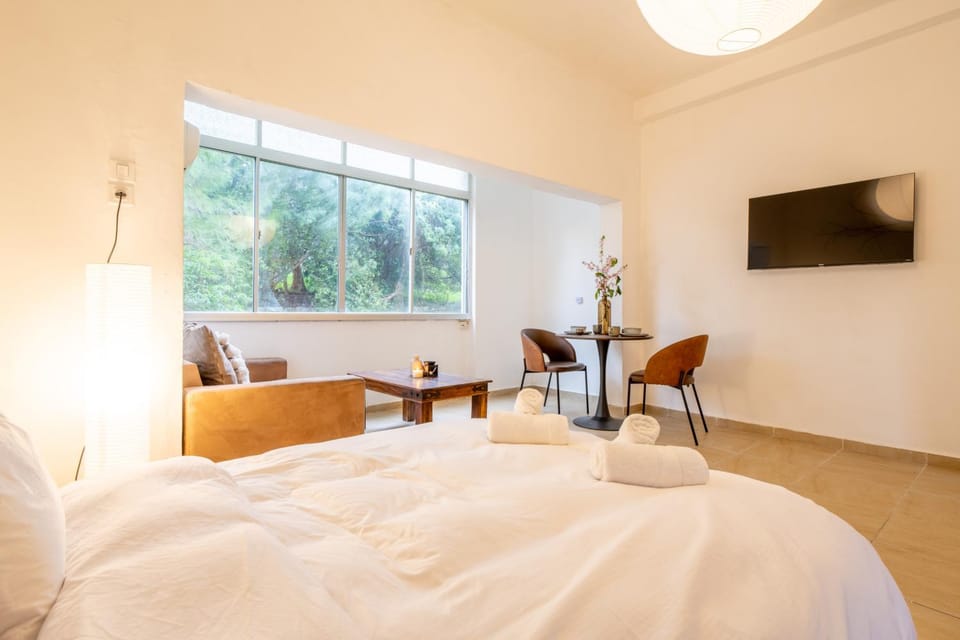 Green Emerald Apartment in Haifa
