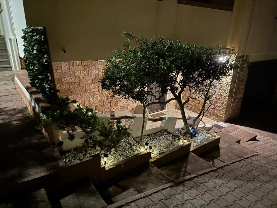 Garden, Garden view