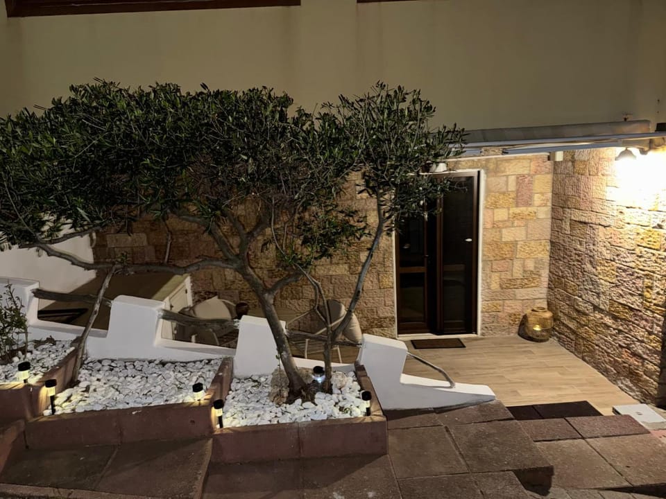 Night, Garden, Garden view