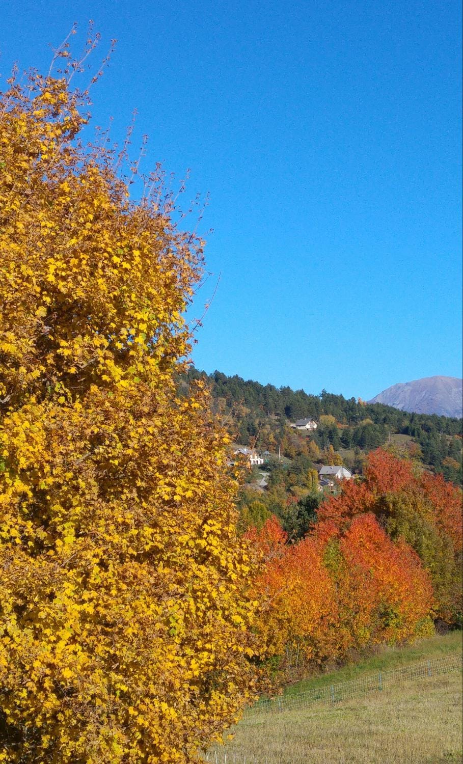 Les Roches Fleuries Bed and Breakfast in Provence-Alpes-Côte d'Azur