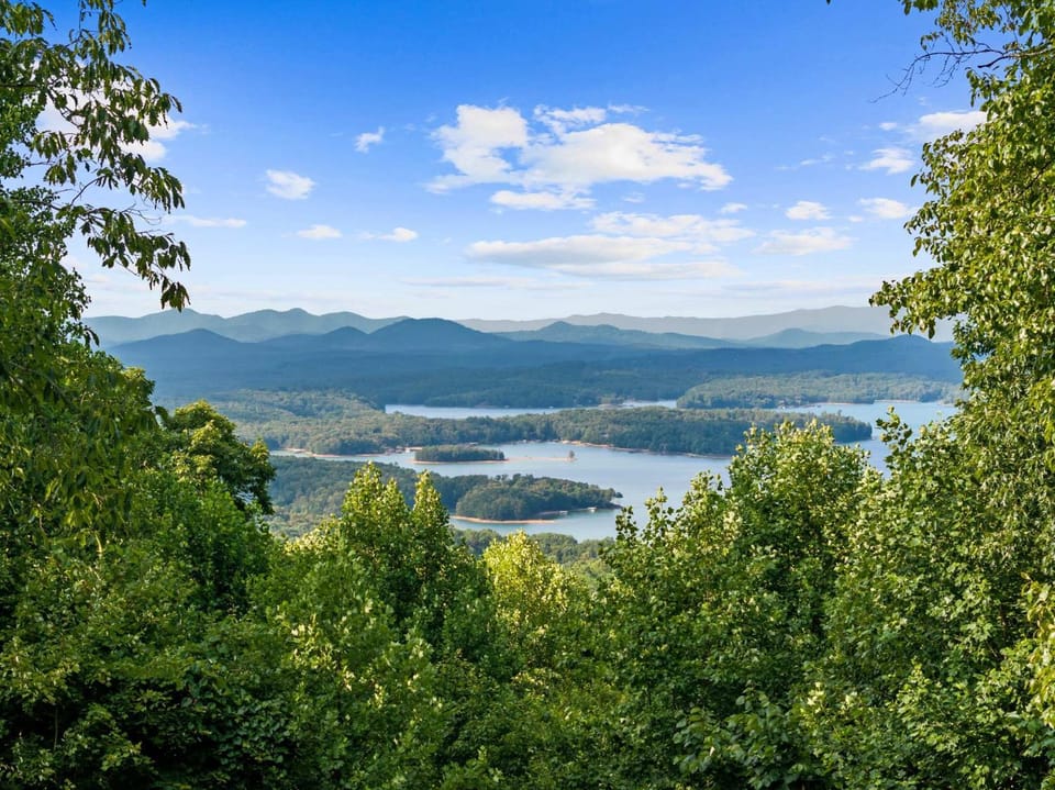 Starry Skies Sauna S'mores Pickleball Retreat House in Blue Ridge Lake