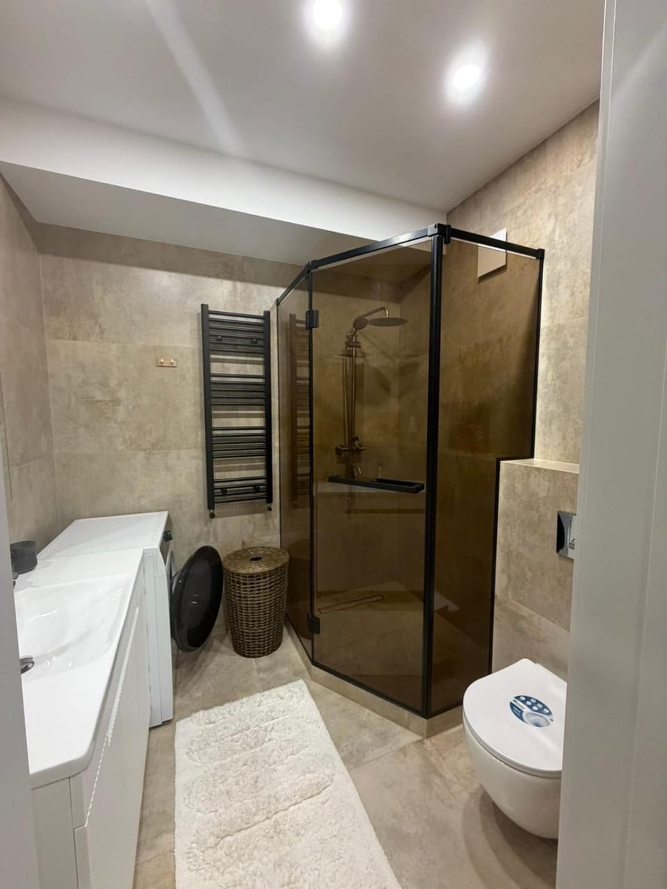 1bd room flat Apartment in Chișinău