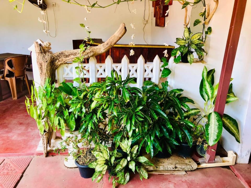We Can Hotel & Restaurant Bed and Breakfast in Sri Lanka