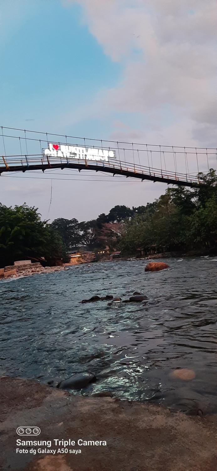Nangin View HOTEL Orang utan tour & trekking Hotel in Indonesia