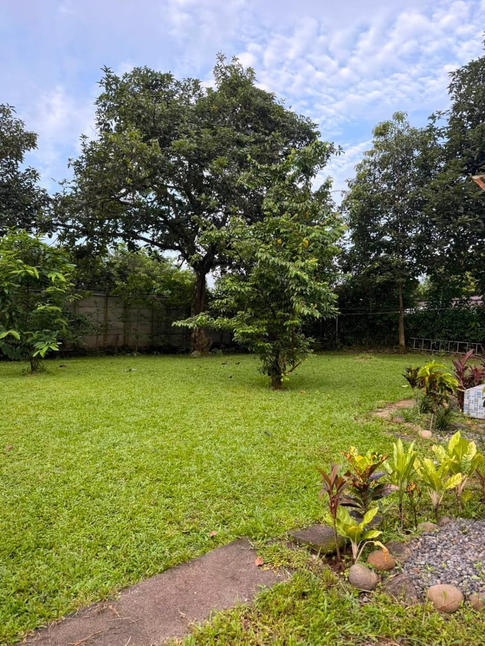 Garden view