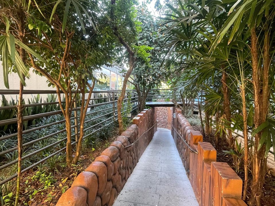 Natural landscape, Garden view