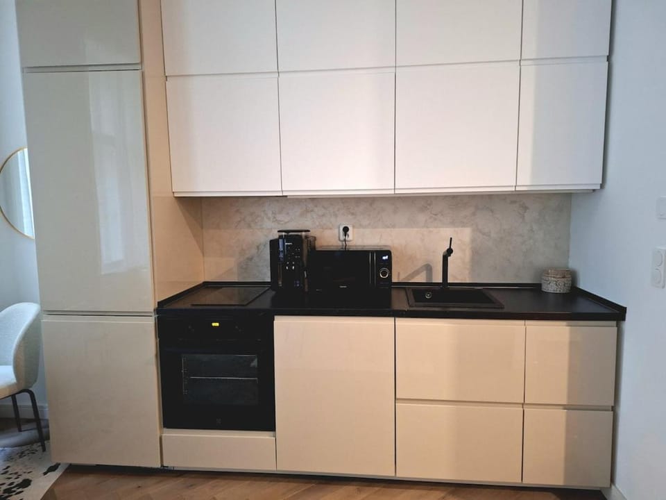 Elegant apartment in the heart of Olomouc Apartment in Czechia