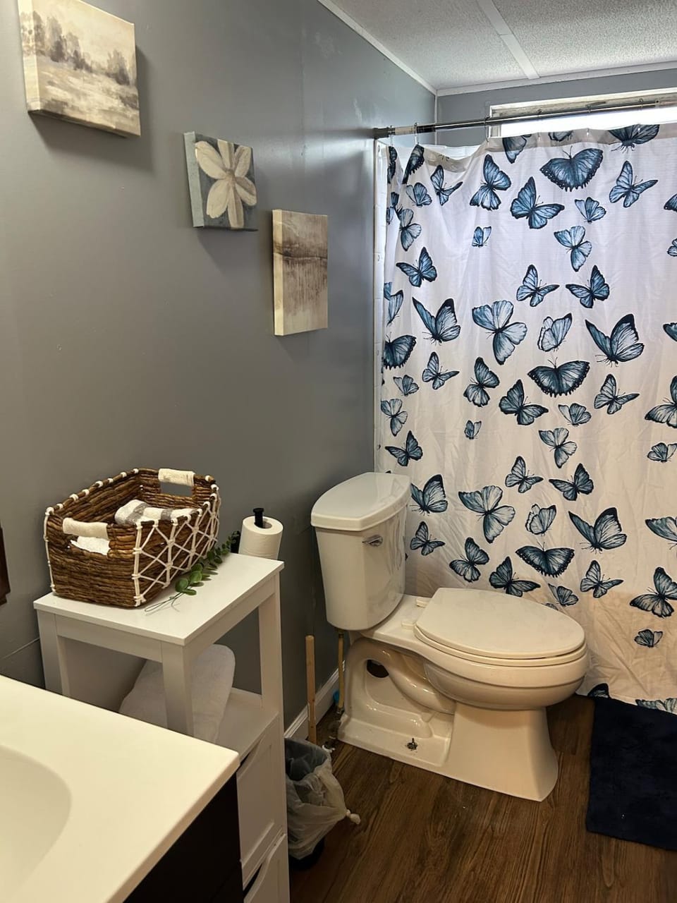Right off of I-95 a perfect cozy Zen mobile home Apartment in Rocky Mount