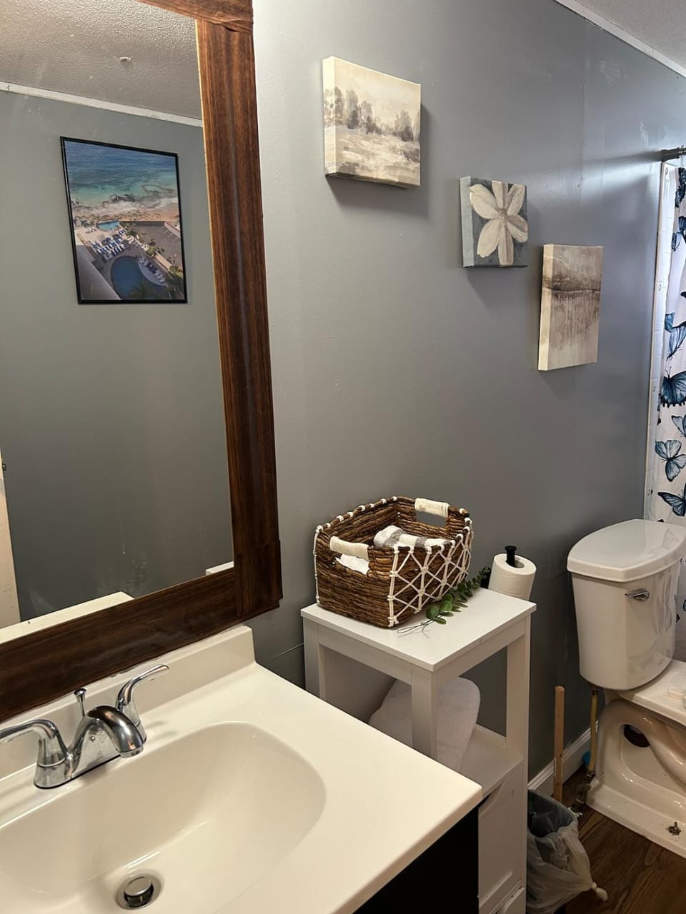 Right off of I-95 a perfect cozy Zen mobile home Apartment in Rocky Mount
