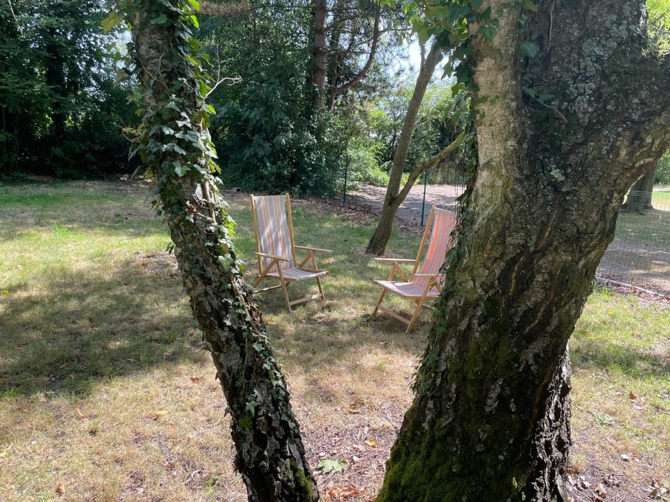 Day, Garden