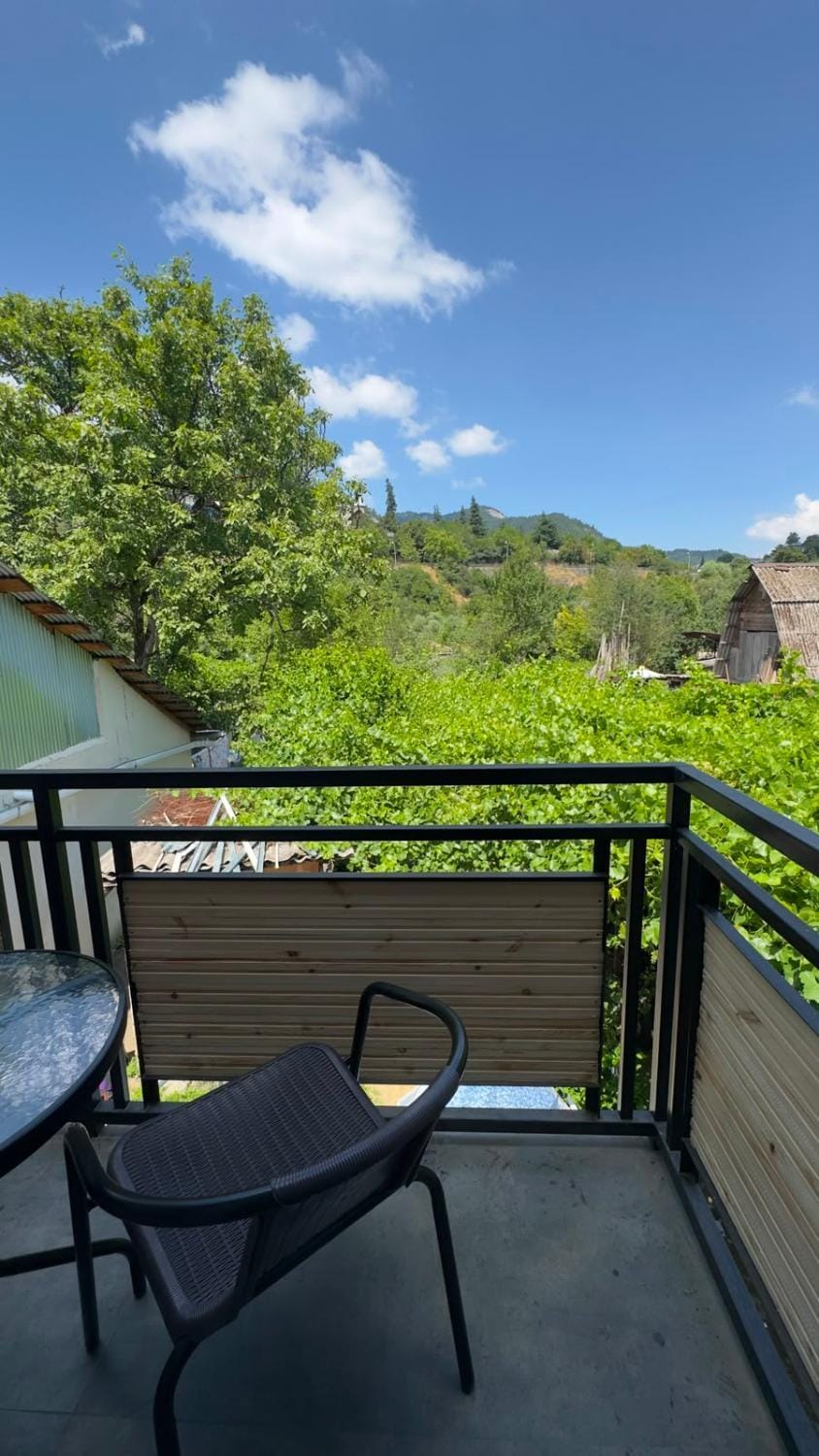 ELAN Guest House Borjomi Near the River Apartment in Georgia