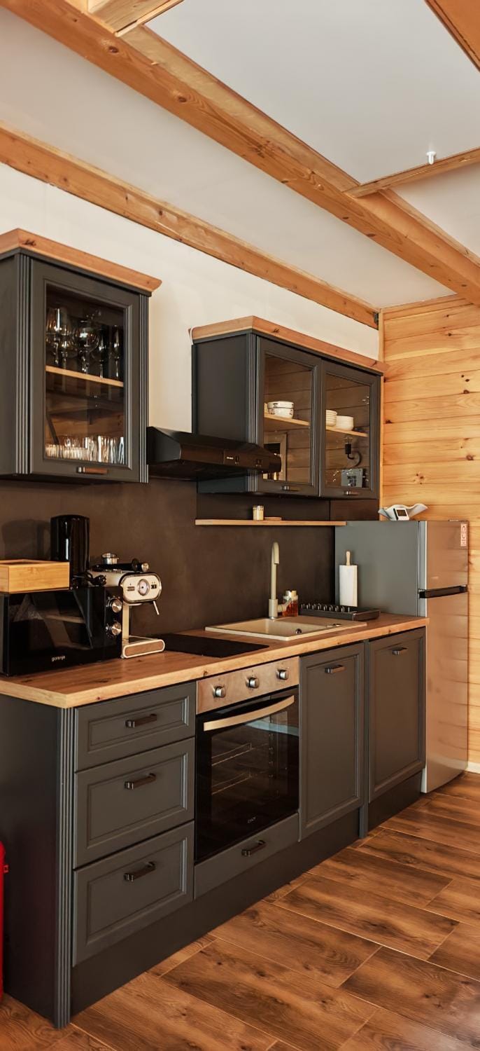 Kitchen or kitchenette, minibar, oven, pet friendly, stove