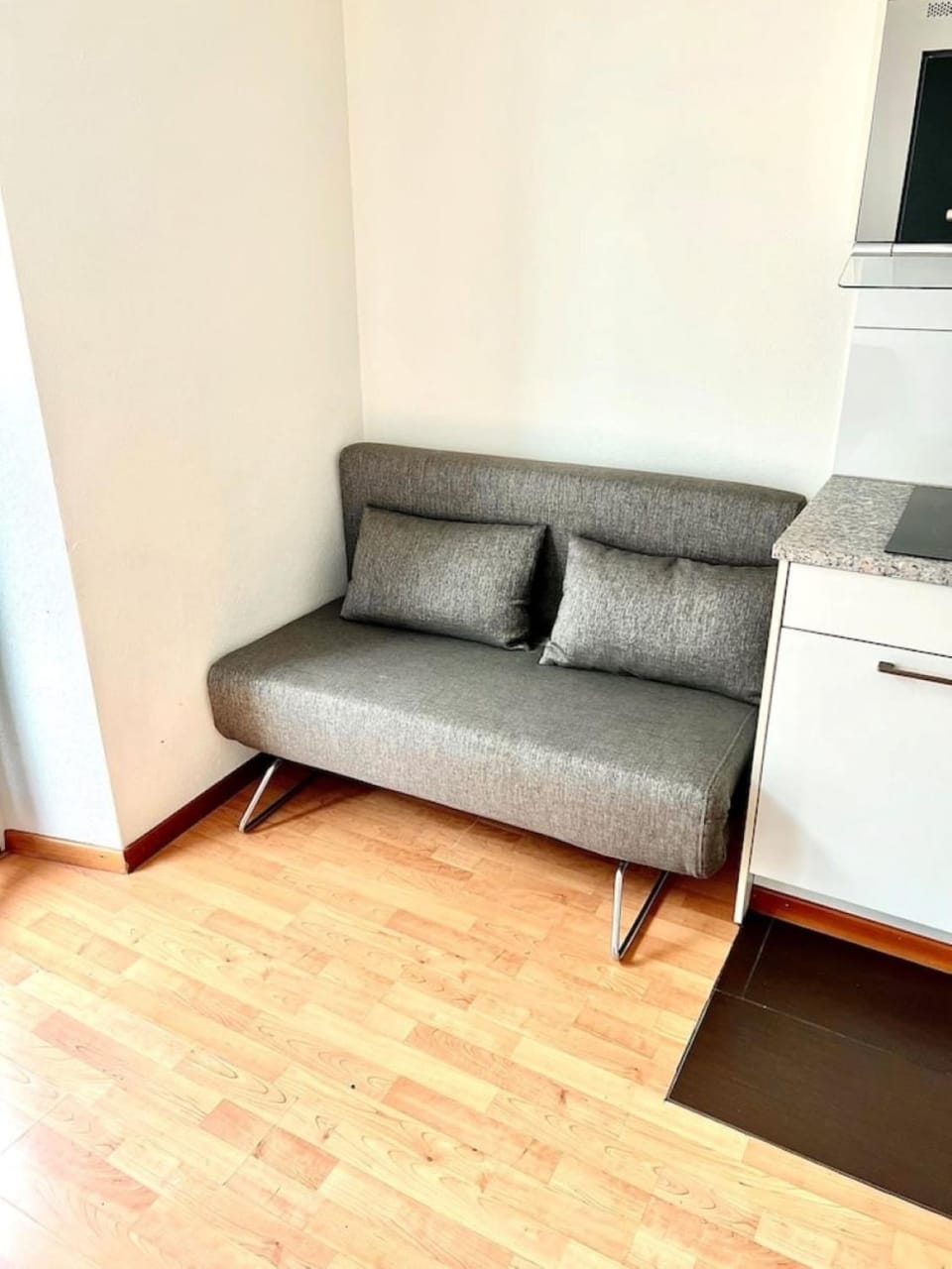 2 Room Center Zurich Flats with Balcony - HildaB Apartment in Zurich City