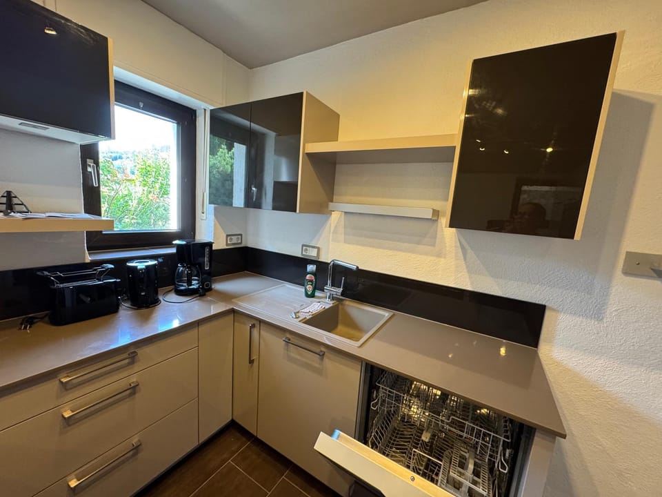 Kitchen or kitchenette, dishwasher