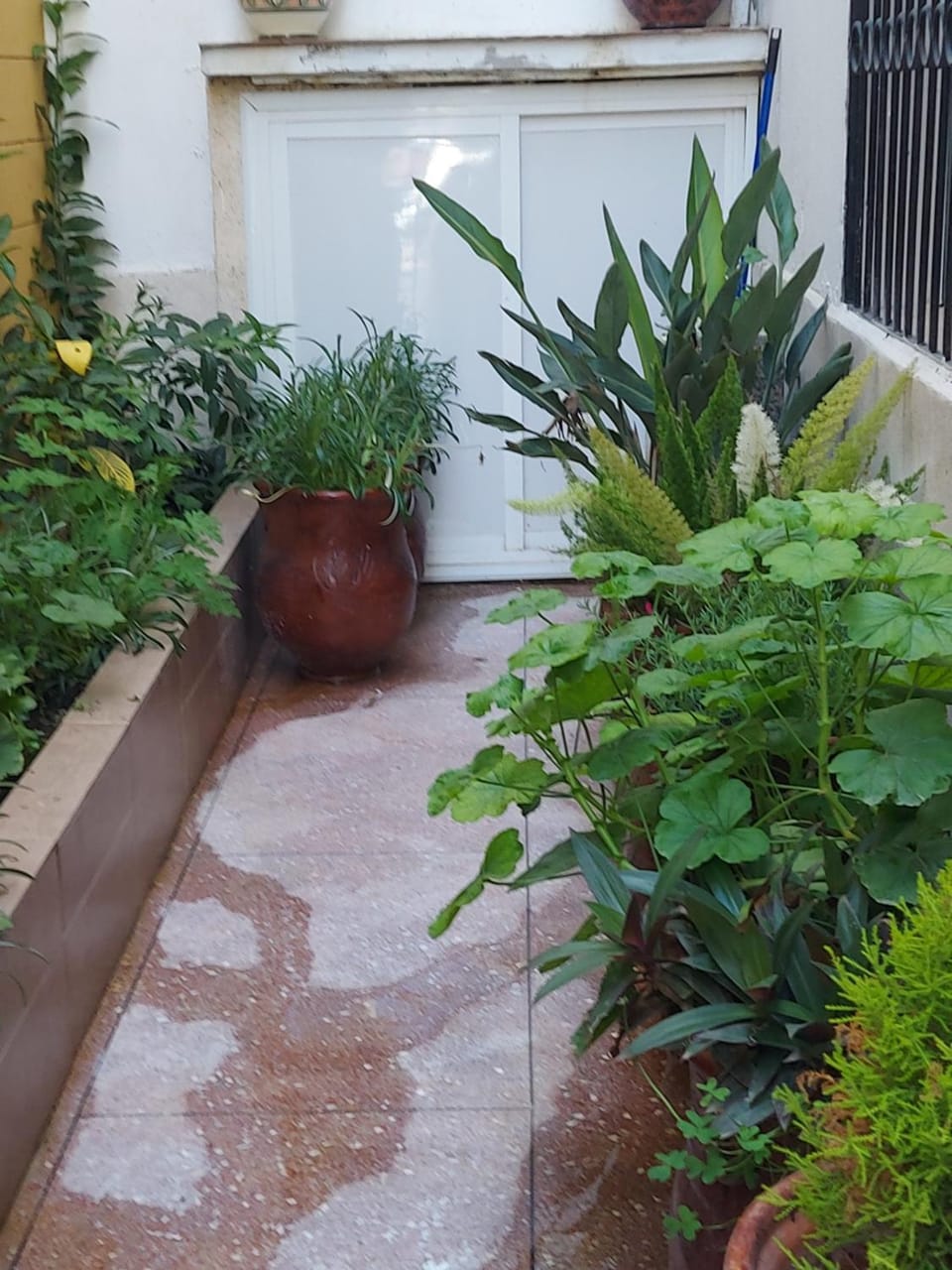 Appartement familie Apartment in Tangier-Tétouan-Al Hoceima