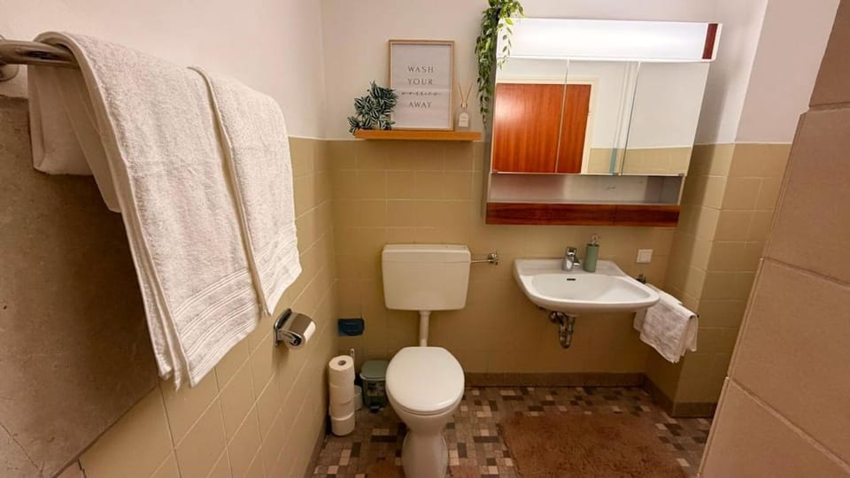 Shower, Toilet, Bathroom, towels