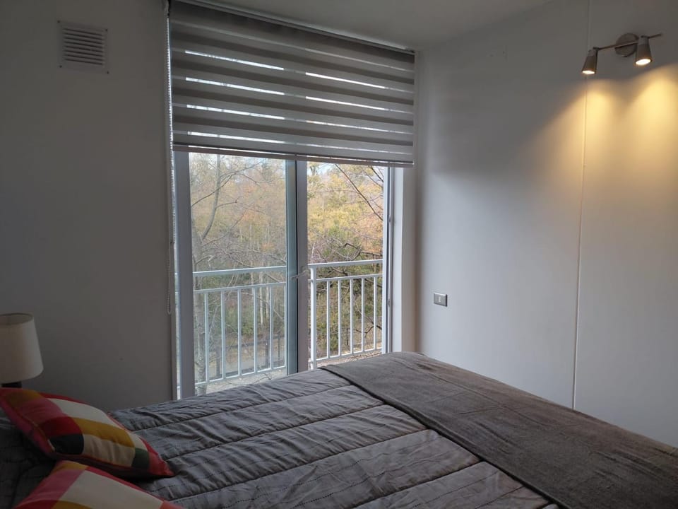 Pucon Hub Apartment in Pucon