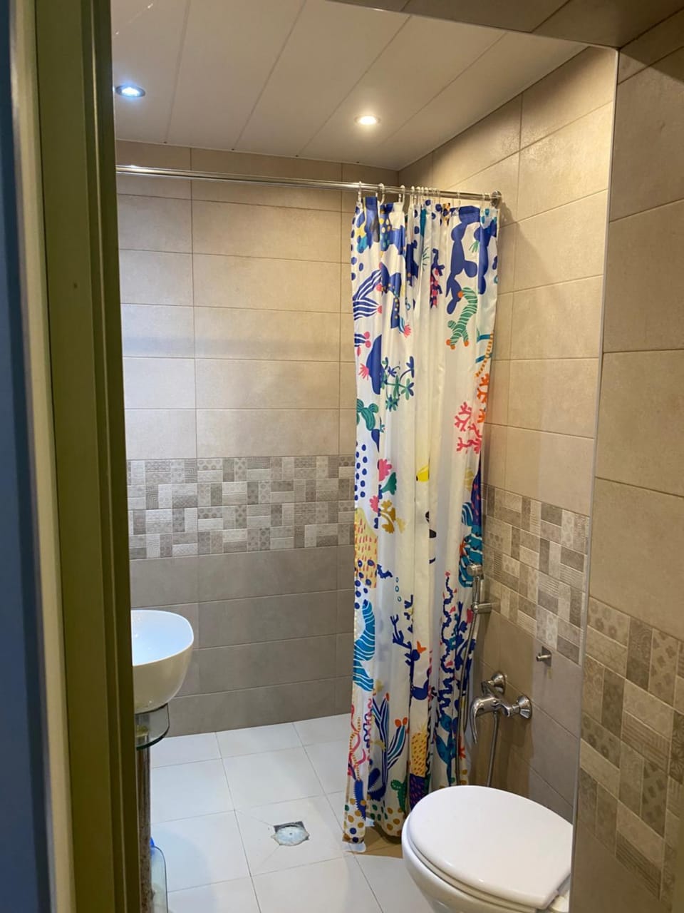 Shower, Toilet