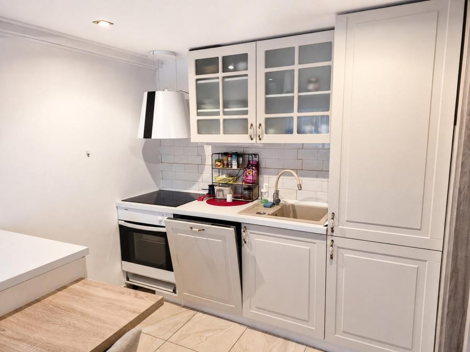 Kitchen or kitchenette, kitchen