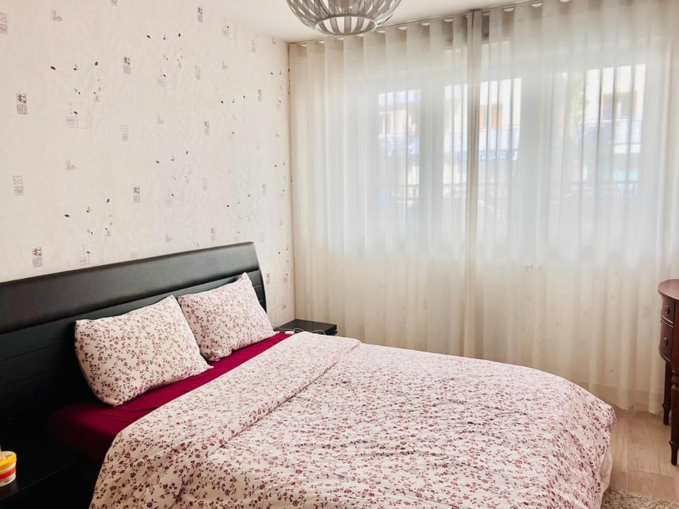 Spacious with terrace and garden Apartment in Annecy