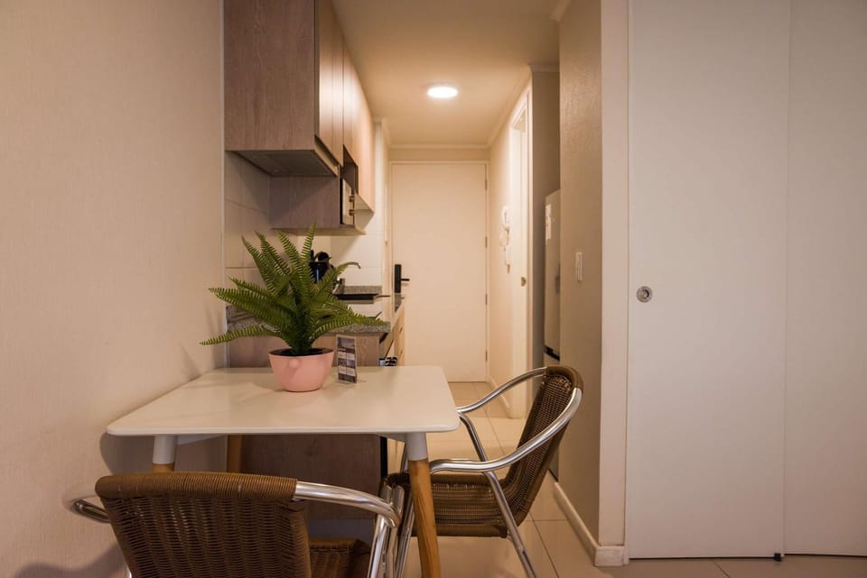 Central Boutique Hideaway in the Heart of the City Apartment in Santiago