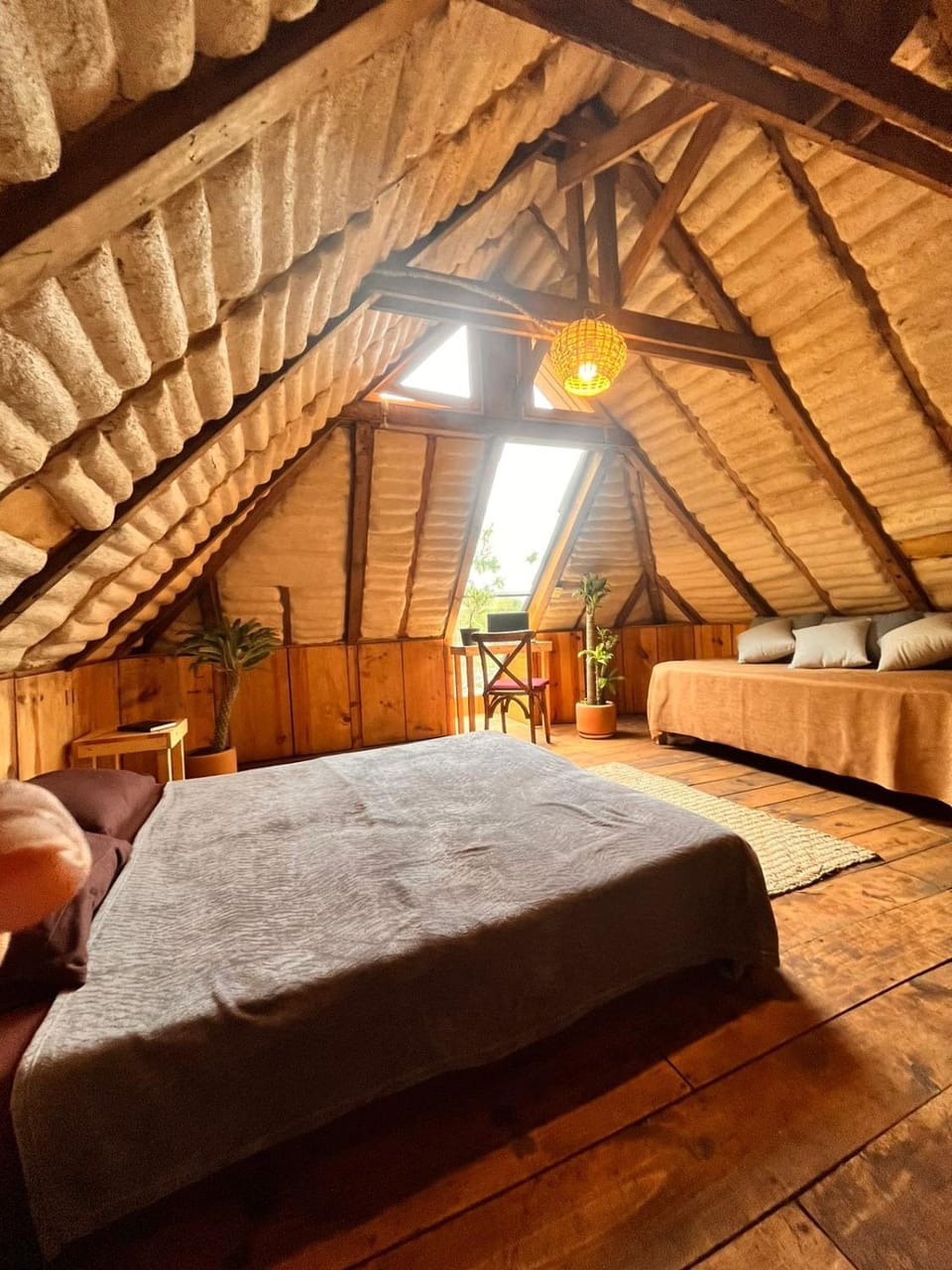 Photo of the whole room