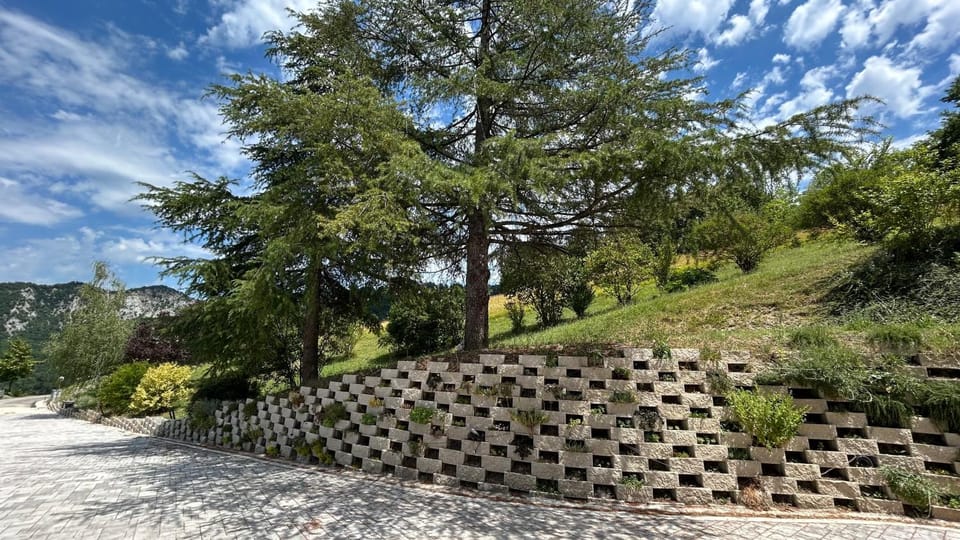Garden, Garden, Garden view